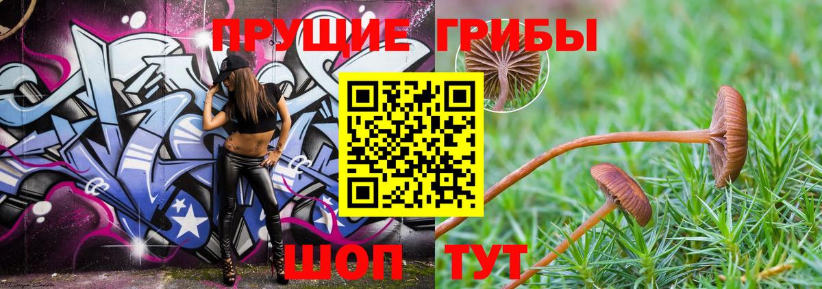 Псилоцибиновые грибы Psilocybine cubensis  Псилоцибиновые грибы Psilocybe  как найти наркотики  Вход с VPN  Черемхово 