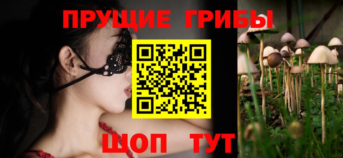Галлюциногенные грибы MAGIC MUSHROOMS Черемхово